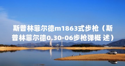 斯普林菲尔德m1863式步枪（斯普林菲尔德0.30-06步枪弹概 述）【斯普林菲尔德0.30-06步枪】