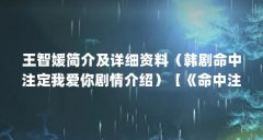 王智媛简介及详细资料（韩剧命中注定我爱你剧情介绍）【《命中注定我爱你》