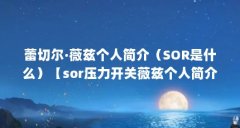 蕾切尔·薇兹个人简介（SOR是什么）【sor压力开关薇兹个人简介】
