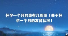 怀孕一个月的事有几周啊【关于怀孕一个月的发育状况】