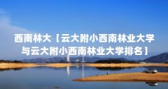 西南林大【云大附小西南林业大学与云大附小西南林业大学排名】