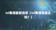 tcl集团最新消息【tcl集团是国企吗？】