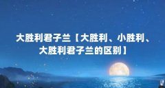 大胜利君子兰【大胜利、小胜利、大胜利君子兰的区别】