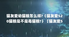 猫友爱幼猫粮怎么样?（猫友爱520猫粮是不是毒猫粮?）【猫友爱520猫粮怎么样】