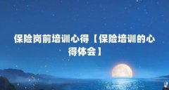 保险岗前培训心得【保险培训的心得体会】