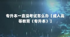 专升本一直没考试怎么办【成人高等教育（专升本）】