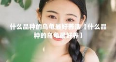 什么品种的乌龟最好养活【什么品种