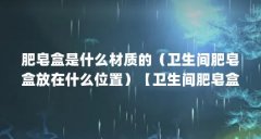 肥皂盒是什么材质的（卫生间肥皂盒放在什么位置）
