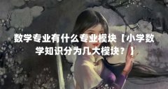 数学专业有什么专业模块【小学数学知识分为几大模块？】