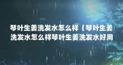 琴叶生姜洗发水怎么样【琴叶生姜洗
