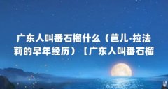 广东人叫番石榴什么（芭儿·拉法莉的早年经历）【广东人叫番石榴什么广东人