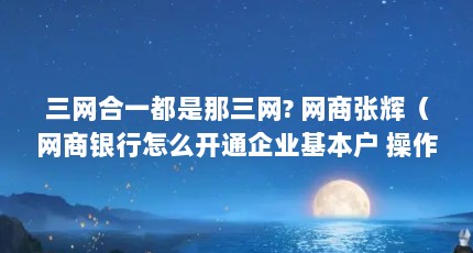三网合一都是那三网? 网商张辉（网商银行怎么开通企业基本户 操作流程详解）【网商银行开通企业基本户操作流程详解网商银行开通企业基本户】