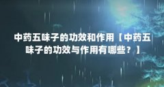 中药五味子的功效和作用【中药五味