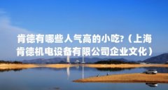 肯德有哪些人气高的小吃?(上海肯德机电设备有限公司企业文化)【肯德基对