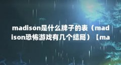 madison是什么牌子的表(madison恐怖游戏有几个结局)【madison是什么牌子的madis