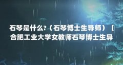 石琴是什么?（石琴博士生导师）【合肥工业大学女教师石琴博士生导师石琴博