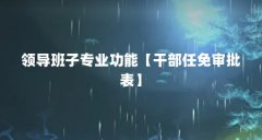 领导班子专业功能【干部任免审批表】