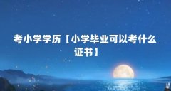 考小学学历【小学毕业可以考什么证书】