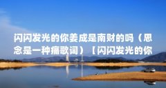闪闪发光的你姜成是南财的吗(思念是一种痛歌词)【闪闪发光的你姜成是南财