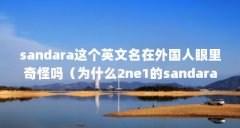 sandara这个英文名在外国人眼里奇怪吗（为什么2ne1的sandara镜头总是很少?）【s