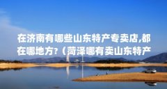 在济南有哪些山东特产专卖店,都在哪地方?(菏泽哪有卖山东特产的)【山东特
