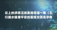 云上的诱惑汪岩离婚是哪一集(五行属水健康平安的董姓女孩名字有哪些?)【