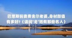 巴恩斯前妻费舍尔老婆,身材颜值有多好?（请问‘戈’姓有那些名人）【关于戈