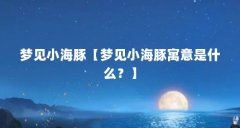 梦见小海豚【梦见小海豚寓意是什么？】