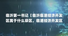 临沂第一书记【临沂临港经济开发区属于什么级区，临港经济开发区属于什么级