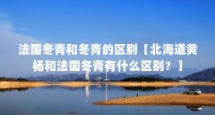 法国冬青和冬青的区别【北海道黄杨和法国冬青有什