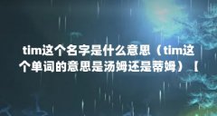tim这个名字是什么意思（tim这个单词的意思是汤姆还是蒂姆）【tim在线是什么意