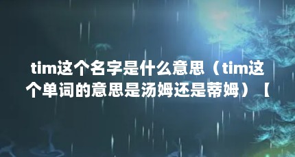 tim这个名字是什么意思（tim这个单词的意思是汤姆还是蒂姆）【tim在线是什么意思tim在线是什么意思】