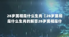 28岁属相是什么生肖【28岁属相是什么生肖的解答28岁
