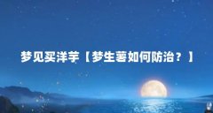 梦见买洋芋【梦生薯如何防治？】