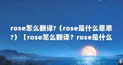 rose怎么翻译?(rose是什么意思?)【rose怎么翻译?rose是什么意思?】