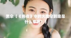 黑伞【《将夜》中的大黑伞到底是什么来历？】