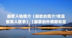 郝歌人物简介(郝歌的简介?就是那黑人歌手)【郝歌的外貌酷似足球传奇乔治