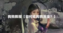 狗狗教程【如何给狗狗洗澡?】