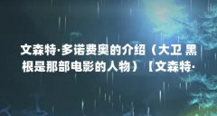 文森特·多诺费奥的介绍(大卫 黑根是那部电影的人物)【文森特·多诺费奥: