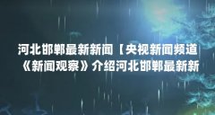 河北邯郸最新新闻【央视新闻频道《新闻观察》介绍河北邯郸最新新闻】