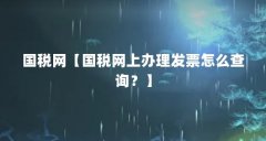 国税网【国税网上办理发票怎么查询?】
