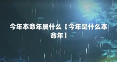 今年本命年属什么【今年是什么本命年】