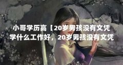 小哥学历高【20岁男孩没有文凭学什么工作好，20岁男孩没有文凭学什么手艺好