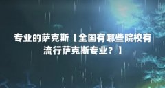 专业的萨克斯【全国有哪些院校有流行萨克斯专业？】