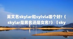 英文名skylar和sylvia哪个好?(skylar是男名还是女名?)【skylar和sylvia哪个好skylar和