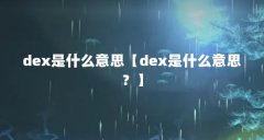 dex是什么意思【dex是什么意思？】