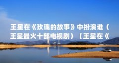 王星在《玫瑰的故事》中扮演谁（王星最火十部电视剧）【王星在《玫瑰的故事