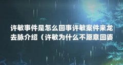 许敏事件是怎么回事许敏案件来龙去脉介绍(许敏为什么不愿意回婆家?)【关