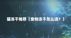 猫冻干推荐【宠物冻干怎么选？】