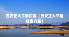 西安正大平消胶囊【西安正大平消胶囊介绍】